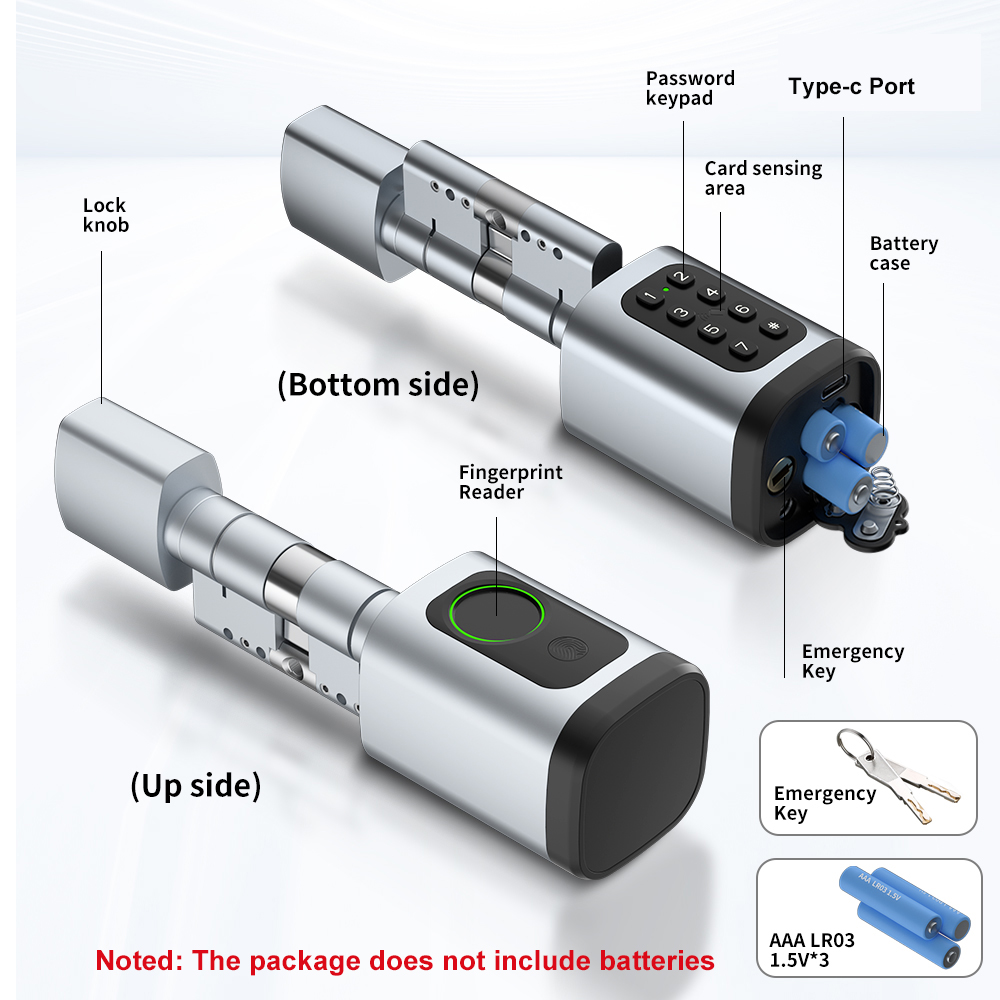 RAYKUBE V1 Tuya BLE TT قفل قفل - مراجعة Home Automation System Diy وسعره